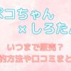 ぺこちゃんしろたんコラボ　いつまで販売？予約方法や口コミまとめ